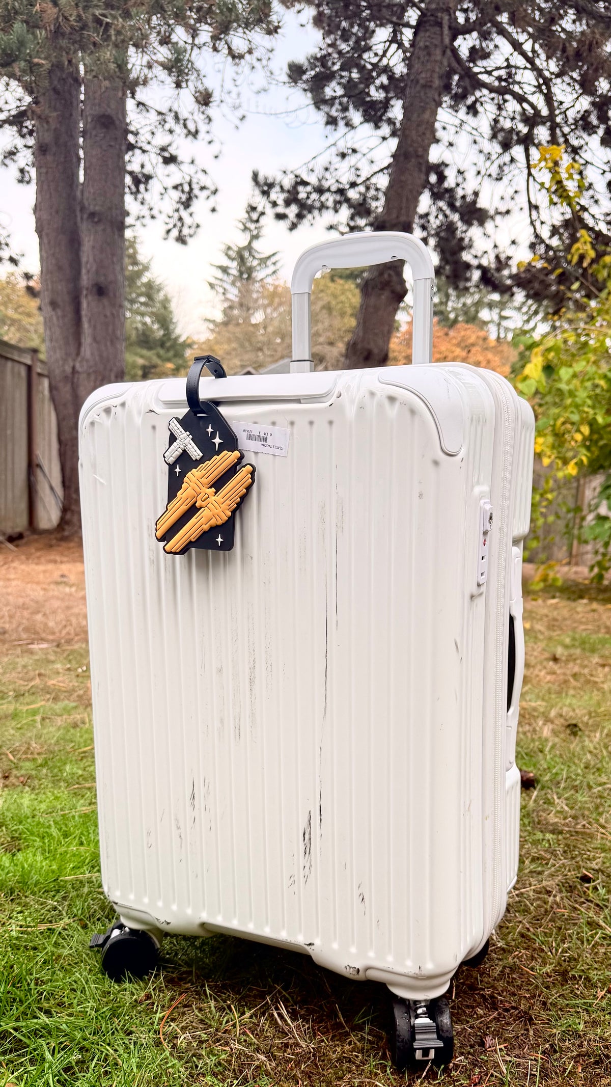 “Ships” Luggage Tag